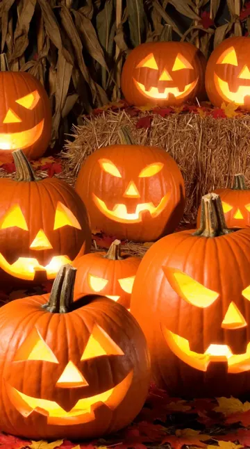 Glowing pumpkin patch